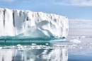 Glacier Cruise, Est du Groenland