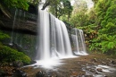 Chues Russell, Parc National Mt Field, Tasmanie, Australie