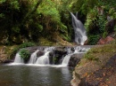 Elabana Falls, forêt tropicale australienne