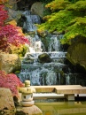 Cascades des jardins de Kyoto