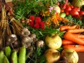Légumes cultivés de manière écologique