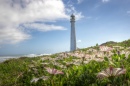 Le phare de Slangkop près de Cape Town