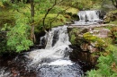Petite cascade à Talybont, Pays de Galles