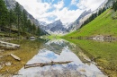 Paysage d'eau et d'alpes, Suisse