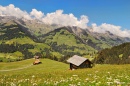 Berner Oberland en été
