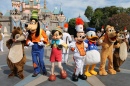 Spectacle du Château par la troupe de Disneyland
