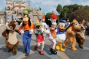 Show de la bande du château de Disneyland