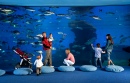 Aquarium de Palma, Majorque, Espagne