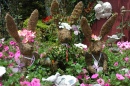 Lapins de jardin