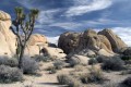 Parc national de Joshua Tree