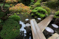Jardin japonais
