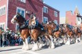Parade de 25 Clydesdales dans le Sud de Boston
