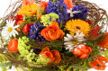 Arrangement Floral