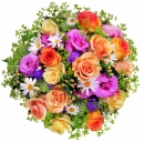 Les préférées de Maman