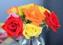 Roses colorées