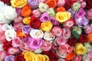 Roses de Paris