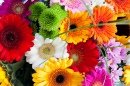 Bouquet de printemps coloré