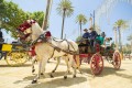Foire aux courses, Jerez de La Frontera, Espagne