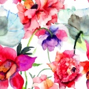 Aquarelle de pivoines