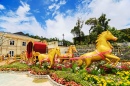 Jardin de fleurs à Da Nang, Vietnam