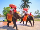 Course d'éléphants à Ayutthaya, Thaïlande