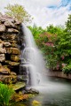 Cascade au Zoo de Washington DC