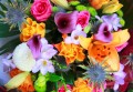 Bouquet de jolies fleurs