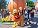 Donald, Pluto et Goofy