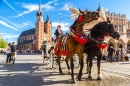 Attelage de chevaux à Cracovie, Pologne