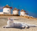 Mykonos, Grèce