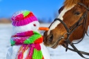 Un cheval et un bonhomme de neige