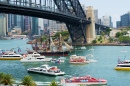 Course de grands voiliers à Sydney