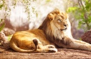 Lion Africain