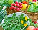 Feuilles de Pissenlit, fruits et légumes