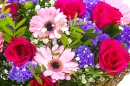 Bouquet de fleurs colorées