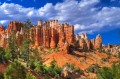 Mossy Creek Trail dans le Canyon Bryce