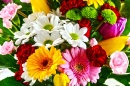 Bouquet de fleurs
