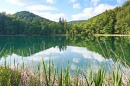 Lacs Plitvice, Croatie