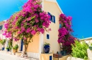 Maison Grecque fleurie