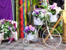 Bicycles blanc et fleurs