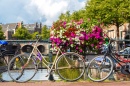 Vélos sur un pont au-dessus des canaux d'Amsterdam, capitale des Pays-Bas