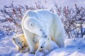 Un Ours polaire avec ses petits
