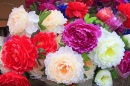 Fleurs en soie colorées