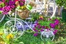 Vélo de fleurs