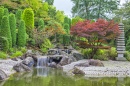 Jardin Japonais à Bonn, Allemagne