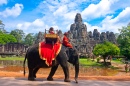Eléphant au temple d'Angkor, Cambodge
