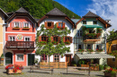 Village alpin d'Hallstatt, Autriche