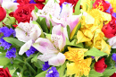 Bouquet de fleur colorées