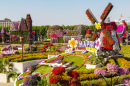 Miracle Garden à Dubaï, Emirats Arabes Unis
