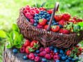 Panier de petits fruits rouges